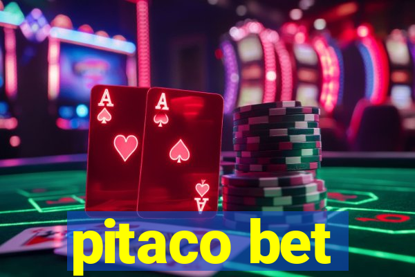 pitaco bet